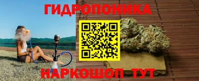 бошки Донской