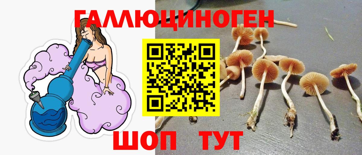 Галлюциногенные грибы Cubensis  Вход с VPN  Заинск 